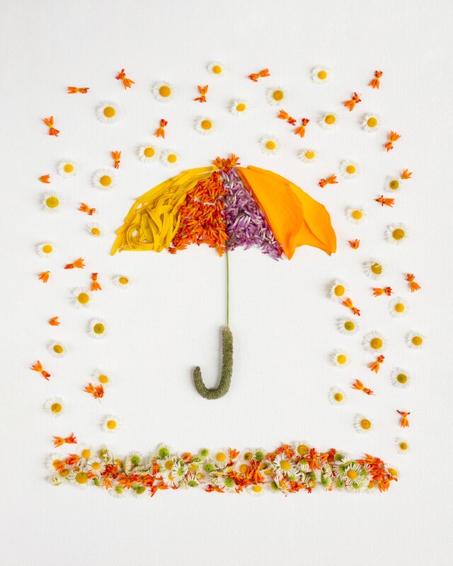 April Showers, May Flowers - Art Print Made from Nature - Cute, Colorful, Whimsical Umbrella Home Decor Made from Flowers, Unique, Children